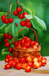 Cherry Basket DIY Diamond Painting